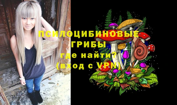 гидропоника Армянск