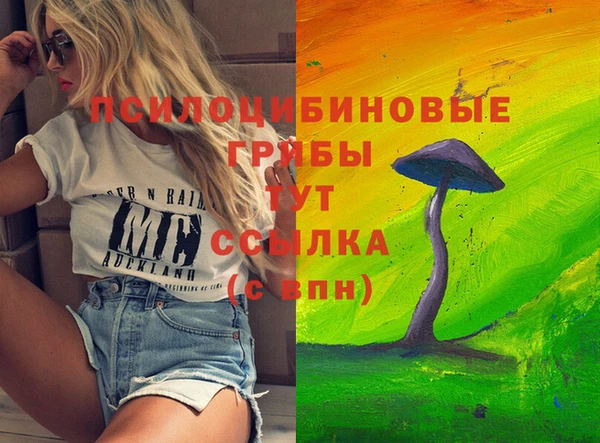 альфа пвп Алексеевка
