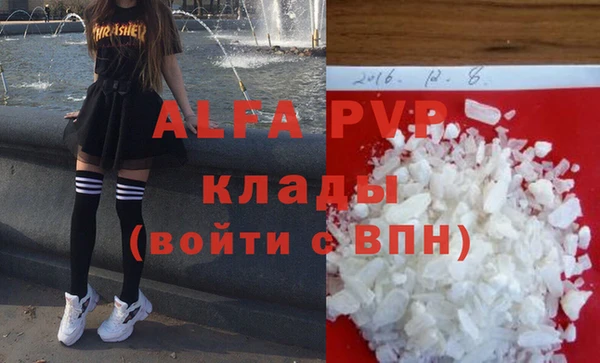 стаф Алексин