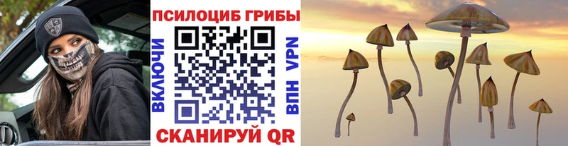 Галлюциногенные грибы прущие грибы  Асино 